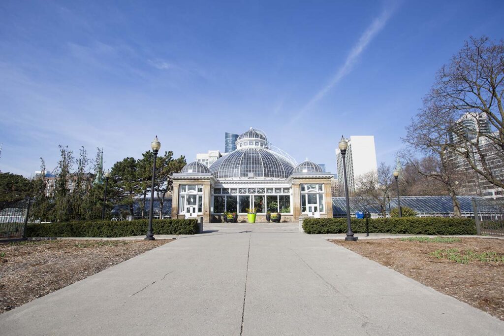 Cabbagetown Cares Lunch Initiative