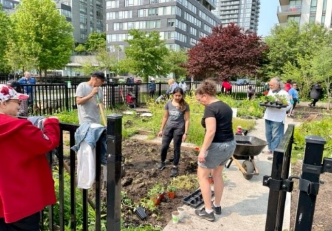 a-group-of-people-is-working-together-in-a-community-garden-surrounded-by-a-black-metal-fence-in-an-urban-setting-some-individuals-are-digging-in-the-soil-while-others-are-carrying-trays-of-plants-high-rise-buildings-and-lush-greenery-are-visible-in-the-background-the-scene-captures-teamwork-and-outdoor-gardening-in-a-city-environment-